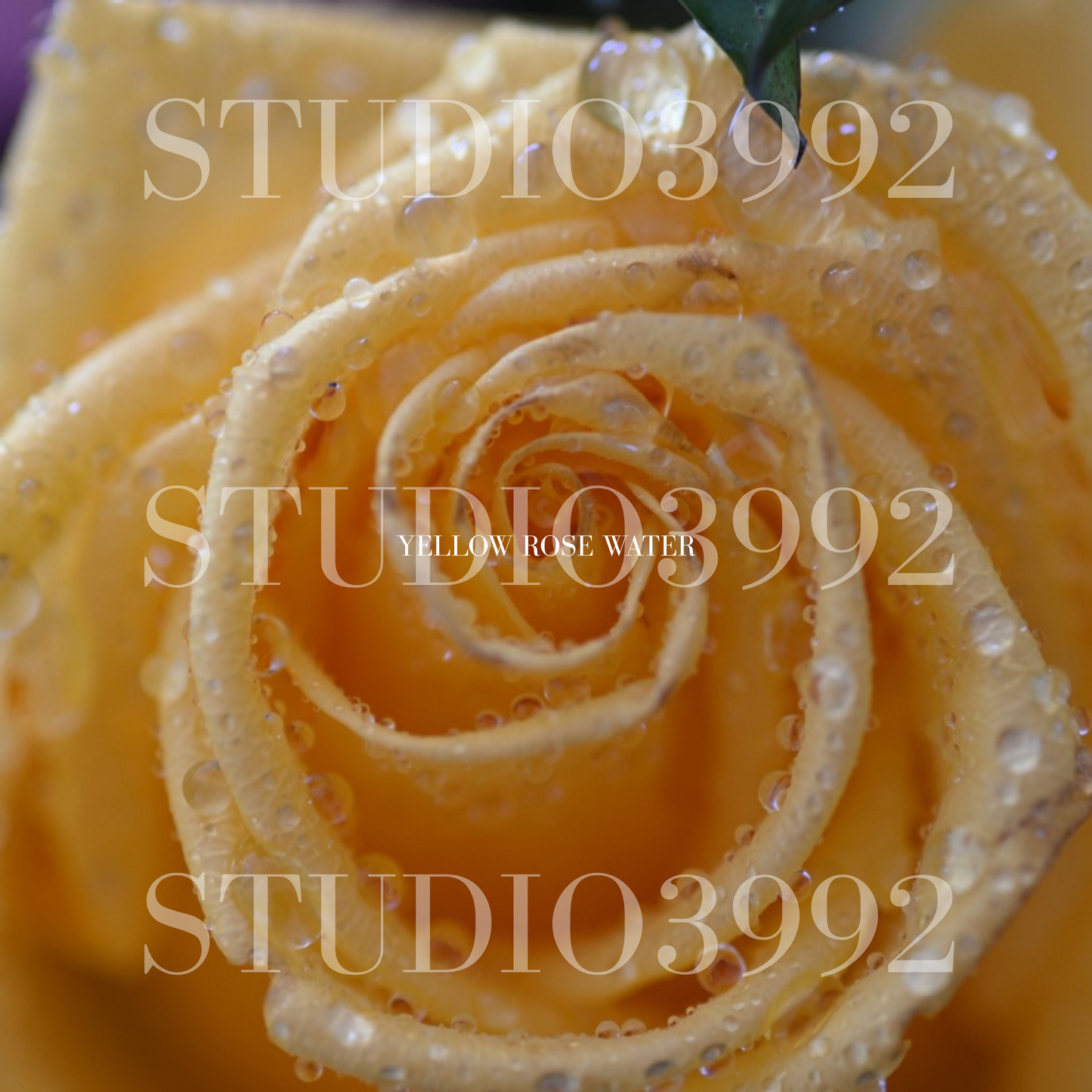 Yellow Rose Water